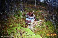 2000_1 ВХ225.jpg (156.98 КБ) 40401 просмотр Редуктор с втулкой винта истребителя <br />«Аэрокобра». Урдозеро, сентябрь 2000 г.