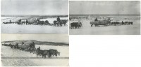 Bf 109 G-2 () W.Nr. unknown Gelbe 4, 9.JG 5, Murmashi region, the river Tuloma, Winter 1942-1943..jpg (123.04 КБ) 310522 просмотра Еще фотографии "желтой 4"