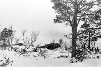 post-7497-0-06444600-1341285660.jpg (187.28 КБ) 60240 просмотров На переднем плане - "Хемпден", на заднем "Юнкерс". Ваенга.