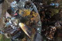 BmvUaZZMI1A.jpg (335.4 КБ) 15859 просмотров BmvUaZZMI1A.jpg