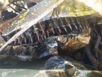 rPj3nSs11Jc.jpg (334.77 КБ) 17748 просмотров rPj3nSs11Jc.jpg