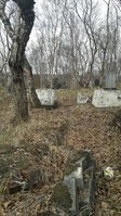 10388304_680048692031474_567531001_n.jpg (144.31 КБ) 87065 просмотров могилы в ряду 139,138, 137(?)...