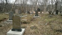 10412219_680048672031476_569841412_o.jpg (502.22 КБ) 87064 просмотра 157я слева - вероятно №137
